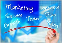 Novacash - Krzysztof Gumiela Website positioning and internet marketing